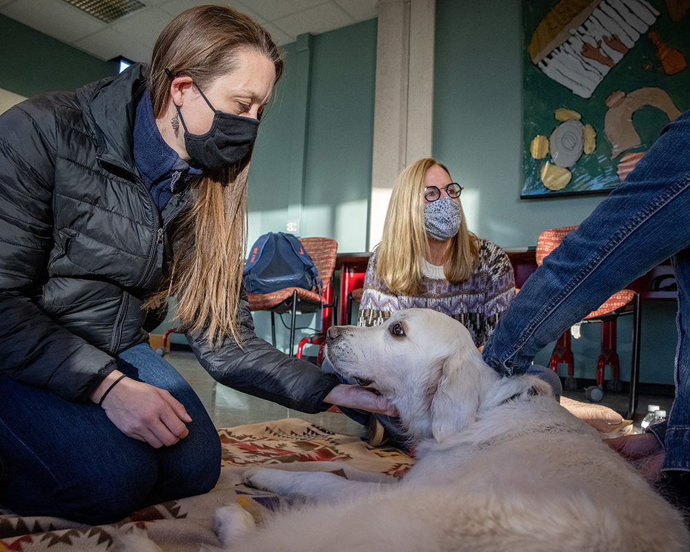 Alumni visits with therapy dog