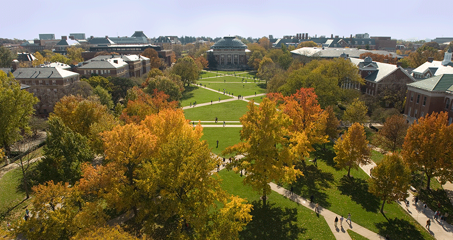 Faculty-and-Staff University of Illinois Quad