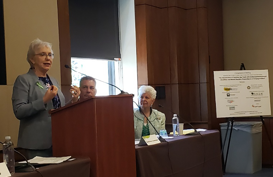 Susan Fowler testifies at a congressional hearing