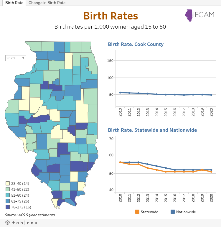 IECAM 2020 Birth Rates map