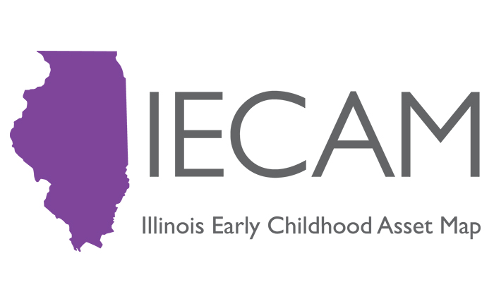 Image of IECAM logo
