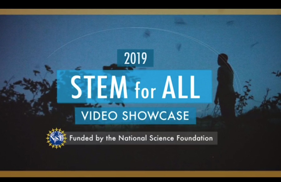 NSF STEM for ALL videos