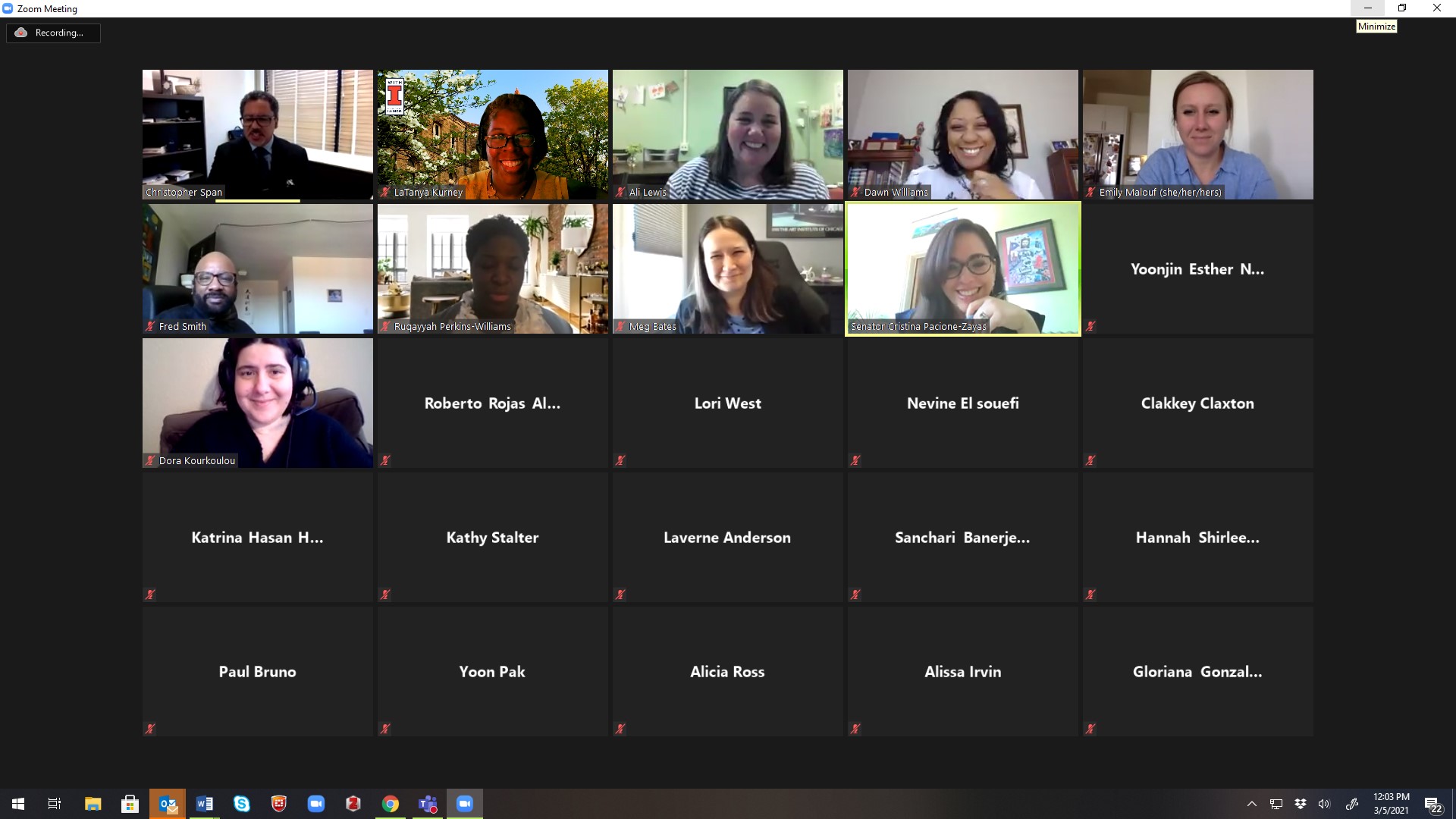 Multiple zoom screens